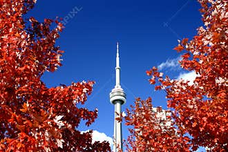 CN Tower and the Fall Colors