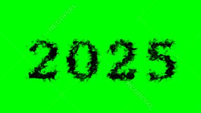 2025 smoke text effect green isolated background