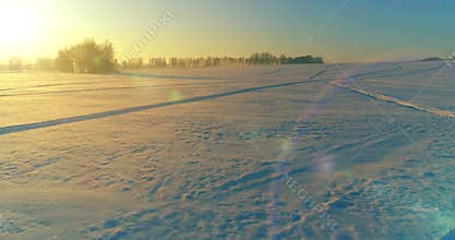 Aerial drone view of cold winter landscape with arctic field, trees covered with frost snow and morning sun rays over