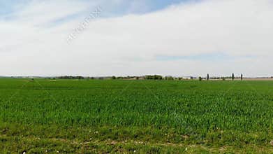 Flight over a green meadow and a field with young cereals in an agricultural area in Central Europe