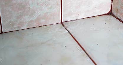 Water leaking from leaky pipes in bathroom