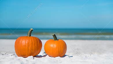 Autumn season composition. Pumpkin on the beach. Two pumpkins on sand beach shore. On background ocean water. Autumn in Florida. F