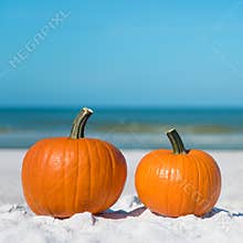 Autumn season composition. Pumpkin on the beach. Two pumpkins on sand beach shore. On background ocean water. Autumn in Florida. F
