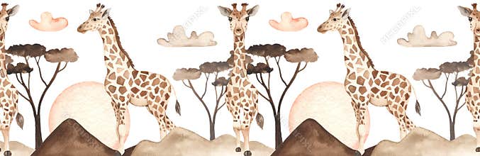 Watercolor seamless border with giraffes in savannah at sunset with clouds, acacia, sun