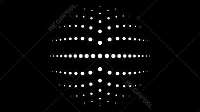 Circular monochrome seamless dot pattern 4K animation with two fold rotational symmetry