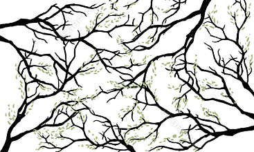 Tree Branches Background Silhouettes