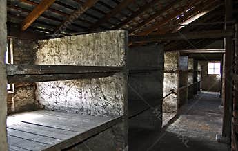 Auschwitz Birkenau Barrack Stone Beds