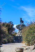 Sheepdog statue, Lake Tekapo