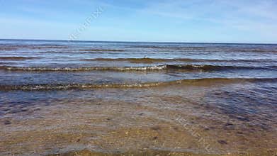 Jurmala.  Seagull swims on the waves