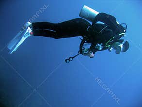 female scuba diver underwater philippines
