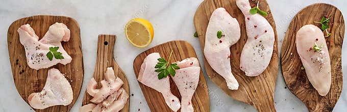 Panorama banner with assorted raw chicken portions