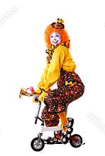 Circus Clown