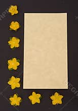 Sympathy card to include a personal message.