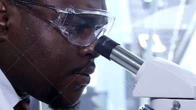 African-american scientist working in lab. Doctor making microbiology research. Biotechnology, chemistry, bacteriology