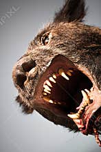 Werewolf