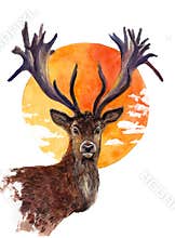 Watercolor deer with the sun