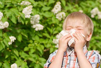 Allergy