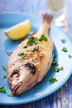 Mediterranean fish