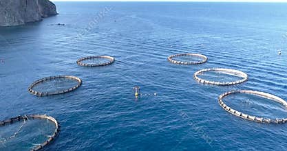 Aquaculture aerial view