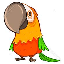 Funny fat orange parrot with a large beak
