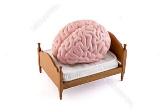 Human brain resting on the bed