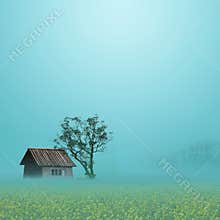 Rural Scenery