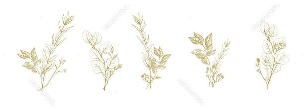 Set of golden floral compositions