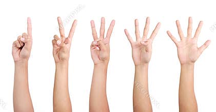 1 2 3 4 5 hand