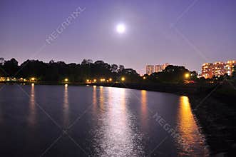 Moonlight at MacRitchie Reservoir