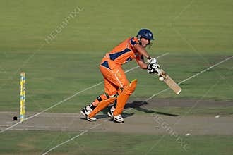 Cricket action