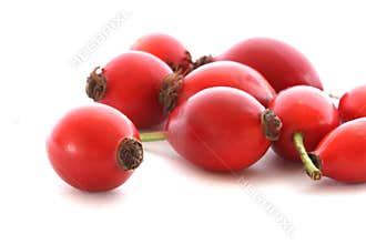 Dog-roses - hips on white background