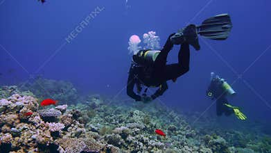 Cave diving underwater scuba divers exploring cave dive. Red Sea Egypt