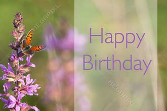 Happy birthday card with beautiful butterfly