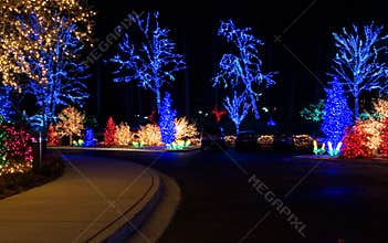 Outdoor Christmas Lights