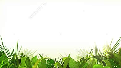 Jungle Tropical Leaves Foreground Loop