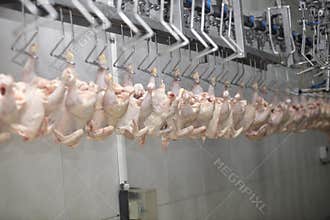 Food industry