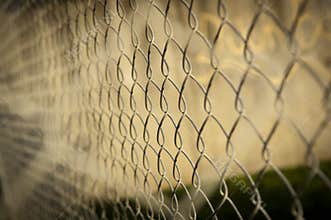Wire Fence