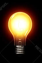 Light Bulb