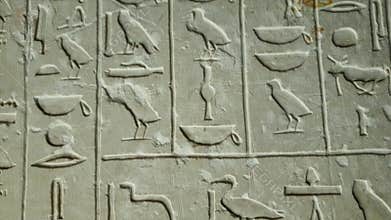 Egyptian hieroglyphics letters on wall with lot of birds alphabet at ancient architecture