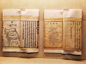 Ancient Chinese books on agriculture with diagrams