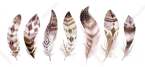 Hand drawn watercolor paintings vibrant feather set. Boho style wings. illustration isolated on white. Bird fly design