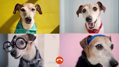 Group video chat call in messenger with 4 friends