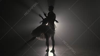 Graceful ballerina and her male partner dancing elements of classical ballet