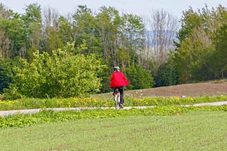 Cyclist on a summer country road