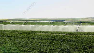 An agricultural sprinkler in an Idaho farm field.