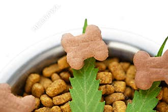 CBD food for Dogs Wellness, Natural supplements for animals and pets with medicine treats like bone. Legal weed products and