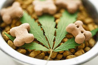 CBD food for Dogs Wellness, Natural supplements for animals and pets with medicine treats like bone. Legal weed products and