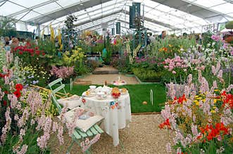 Flower marquee