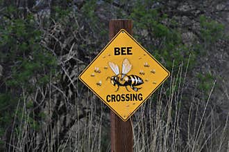 Bee crossing sign at apiary