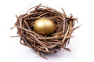 Golden egg in nest